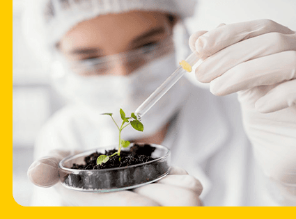 Researcher in a laboratory holding a seedling